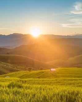 Campagna
