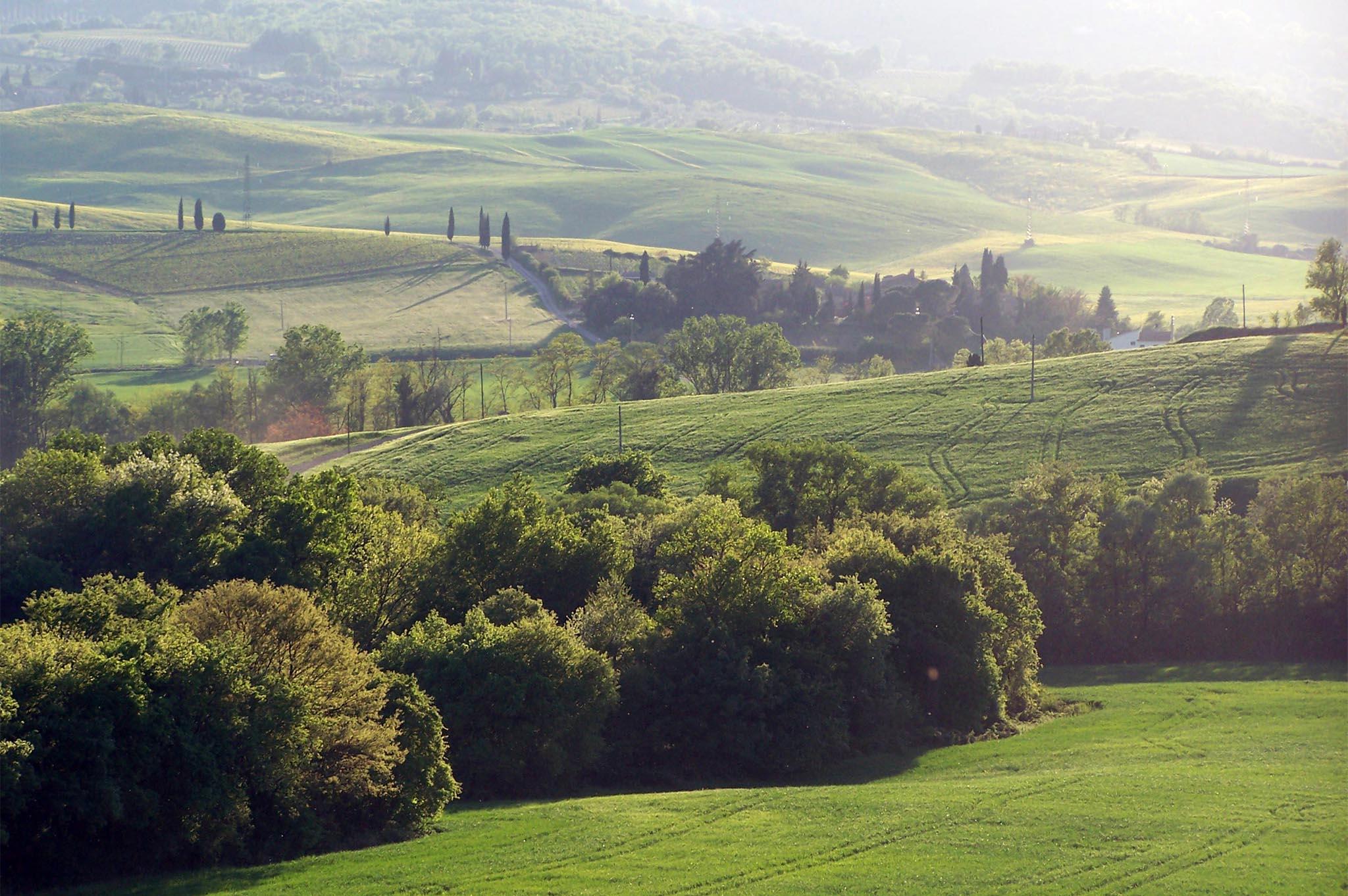 Maremma Villas A Vendre Toscane Immobilier Sotheby S Italy