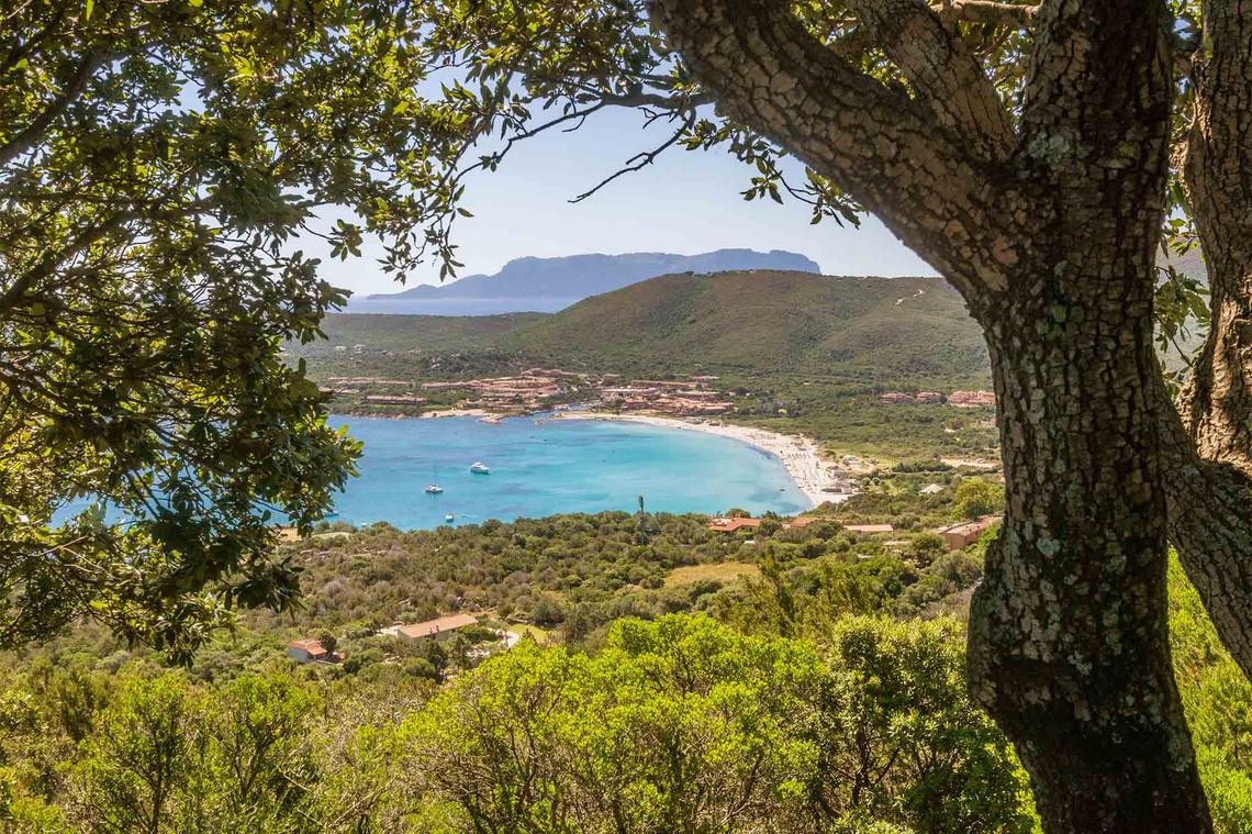 Emerald coast real estate, homes for sale Sotheby’s Realty